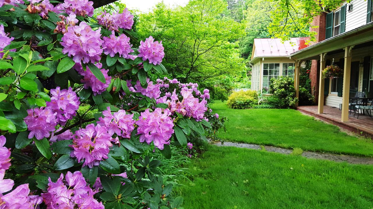 Hummingbird Inn Goshen Dış mekan fotoğraf
